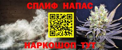 ешки Камышлов