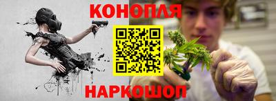 ешки Камышлов