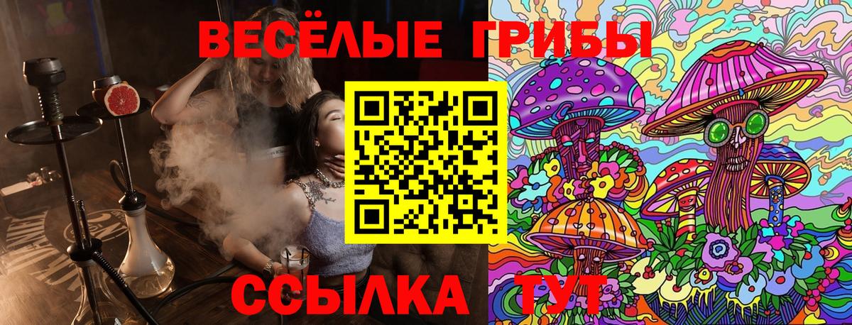Кунгур  Псилоцибиновые грибы Psilocybine cubensis  Вход с VPN 