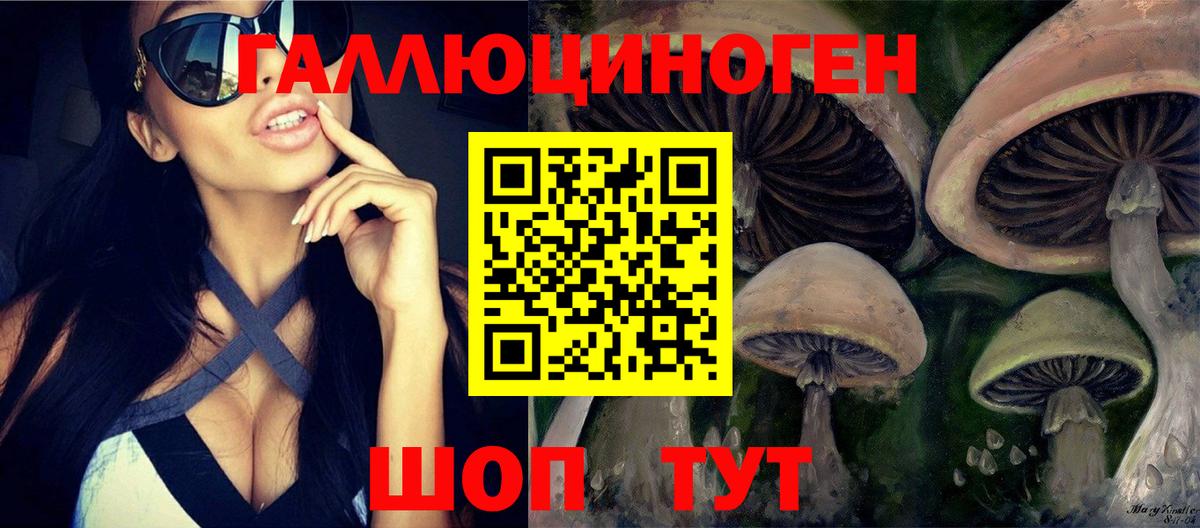 Галлюциногенные грибы MAGIC MUSHROOMS Кунгур